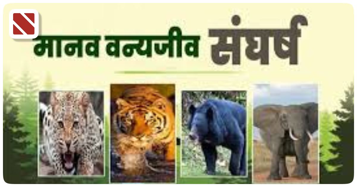 Nainital-Pauri- Woman 4-Yr Child Died