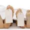 (2 Sisters Died on Brothers Wedding) (Mysterious Illness in Dhauladevi-Almora-6 Died) (2 Women Killed in Same Pattern in UP-Uttarakhand) (Haldwani-3Ladies died due to Snakebite andPoison) (Dehradun-While Celebrating Birthday-3 Youth Died) (22 Year Man-45 Year Woman Died due to Lightning)