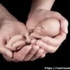 (Another Foetus found in Rudrapur-Creating panic (21 Year Girl Gave Birth in Toilet of Bus Station)
