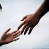 (YoungMan Hanged While on Video Call with Fiancee) (Husband-Wife Died under Suspicious Circumstances) (Dineshpur-Married Lady Committed Suicide Hanging) Prem prasang men suicide